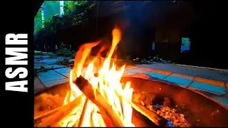 ASMR Exploration: Abandoned Train Station Deep in the Jungle | Relaxing Sounds, Nature & Campfire🔥