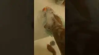 Soapy Feet ASMR #feet #asmr #ankles #soapylover #clean #pretty #toes