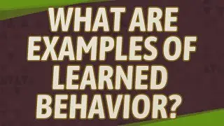 What are examples of learned behavior?