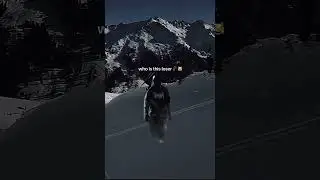 74_jordy edit 🔥  #74_jordy  #edit  #viral  #skiing  #freeride