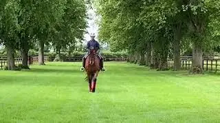 Straightness And Centre Lines with Levi Hunt
