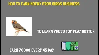 How to Earn Money from Birds Best Business Ideas for a Bird Farmer