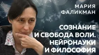 Мария Фаликман о сознании, свободе воли, науках о мозге и философии