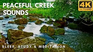 1 Hour Relaxing River Sounds - 4K Peaceful Creek Sounds | Sleep, Study & Meditation