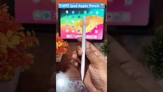 Digiroot ipad like Apple Pencil ✏️ Worth buy at ₹1400 😍🔥 #shorts #trending