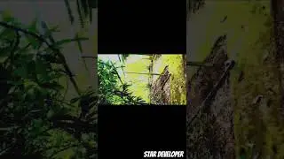 Upvc seet stricture Banglow #music #theweeknd #remix #alanwalker #alok #kiddo #headlight #viralsong