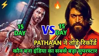 Pathaan Box Office Collection, Pathan Box Office Collection Day 14, Shahrukh Khan, Salman Khan Movie
