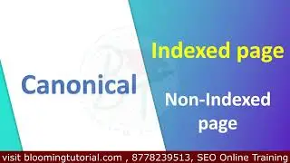 What is Canonical in SEO | How canonical works on a website in seo | what canonical means in seo