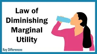 What is Law of Diminishing Marginal Utility? Meaning, Example, Graph and Assumptions