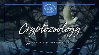 Cryptozoology For Beginners | Centre of Excellence | Transformative Education & Online Learning