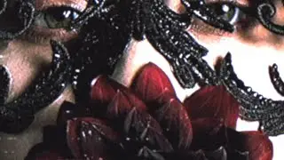Lady Gaga | Abracadabra (Mayhem) | Stems (Vocals/Instrumental/Drums/Bass)