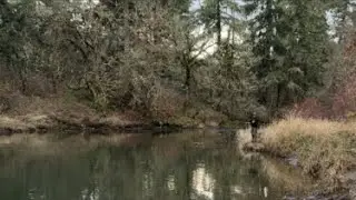 🚨Catching Fish for Subscribers With a Rooster Tail🚨