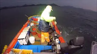 쭈꾸미단지
