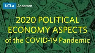 2020 &ldquo;Political Economy Aspects of the COVID-19 Pandemic&rdquo;