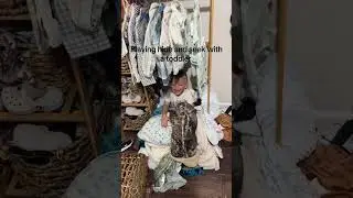 Where are the kids hiding? Too hard#HideAndSeek #KidsBeingKids #FunnyKids #ParentLife #familyfun