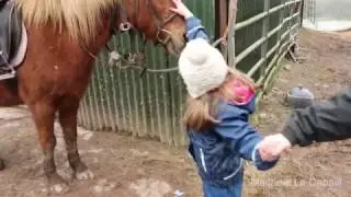 Meitheal Le Capaill - Equine Therapy