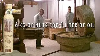 The best walnut oil comes from Périgord walnuts