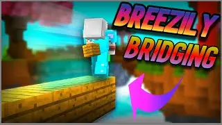 My Adventure/Experience with Breezily Bridging