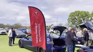 TOCWA at the Como Rotary car show