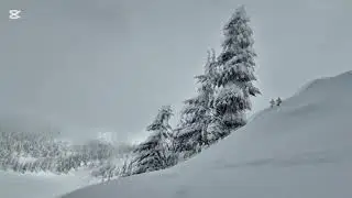 passion, ( 열정 )   Vancouver Whistler Olympic Park   🇨🇦