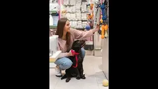 Discover Premium Pet Products at Pamfurred