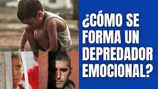INFANCIA, PSICOPATÍA Y EDAD ADULTA: CÓMO SE FORMA UN DEPREDADOR EMOCIONAL