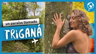 TRIGANÁ UN PARAÍSO SELVÁTICO EN EL MAR CARIBE DE COLOMBIA - TODA LA INFORMACIÓN + PRECIOS