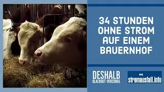34 Stunden Stromausfall auf einem Bauernhof | Warum du dich auf einen Blackout vorbereiten solltest