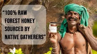Ghats Honey  || Wild Honey Hunters || Tamil