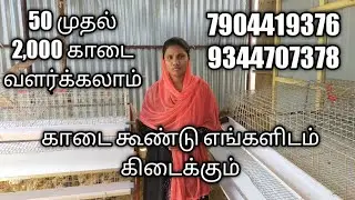 காடை கூண்டு மிக குறைந்த விலையில் கிடைக்கும் 50, முதல் 2,000 வைக்கலாம்