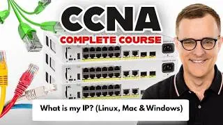 Какой у меня IP-адрес? Руководство по сетевым командам для Windows, Linux и Mac.