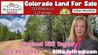 113 ITHACA LANE, Como, CO | Park County Real Estate Listing