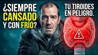 ¿TIROIDES O MODO SUPERVIVENCIA? El freno hormonal que te hace ir lento/ HORMONAS #28