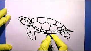 how to draw a Turtle 🐢 Side View Cartoon Sea Tortoise Step by Easy drawing Survival of the Animals