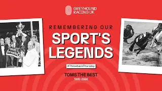 REMEMBERING THE GREAT | TOMS THE BEST | GRUK
