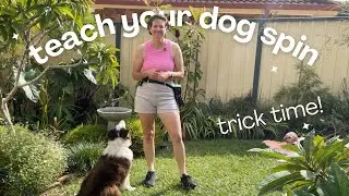 Train your dog to spin in a circle