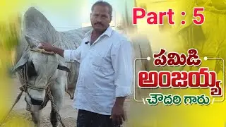 Pamidi anjiiah chowdary chowdary gari tho chit chat part:5 ......#Farmer Junction