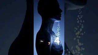 Breathwork Techniques Controlling Stress Through Breathing | WiseLines Official