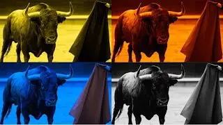 FUNNY BULLS. COFFIN DANCE. EXE 4 COLORS 4 MUSIC