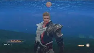 Perfect World Mobile Leveling