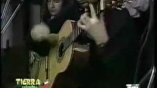mallku de los andes