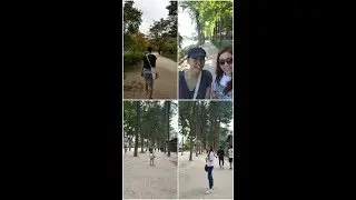 Guide to getting lost in Korea | Nami Island Stroll