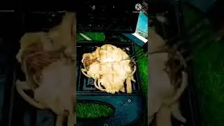 #shorts #60days waffle challenge day 48# Chinese samosa#yummy 😱🧇