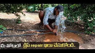మీ తోటలో డ్రిప్ repair ఇలా చేసుకోండి gay #garden #sweetlemanplamts drip irrigation