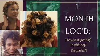 BEST or WORST hair decision?! 1 Month Microloc Update