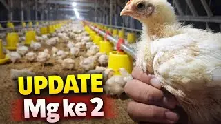 Day 14  | update lantai bawah