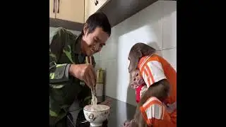 Caught in the Act! CUTIS & Buem's Hilarious Reaction When Dad Finds Out