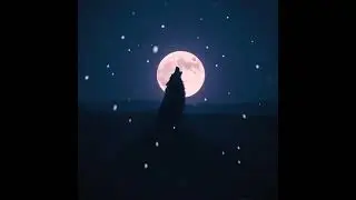 [FREE] Emotional Beat 