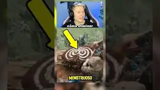 Como eliminar la invasion de los avispones asiaticos ☠️