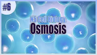 💧 Osmosis | National 5 Cell Biology 💧